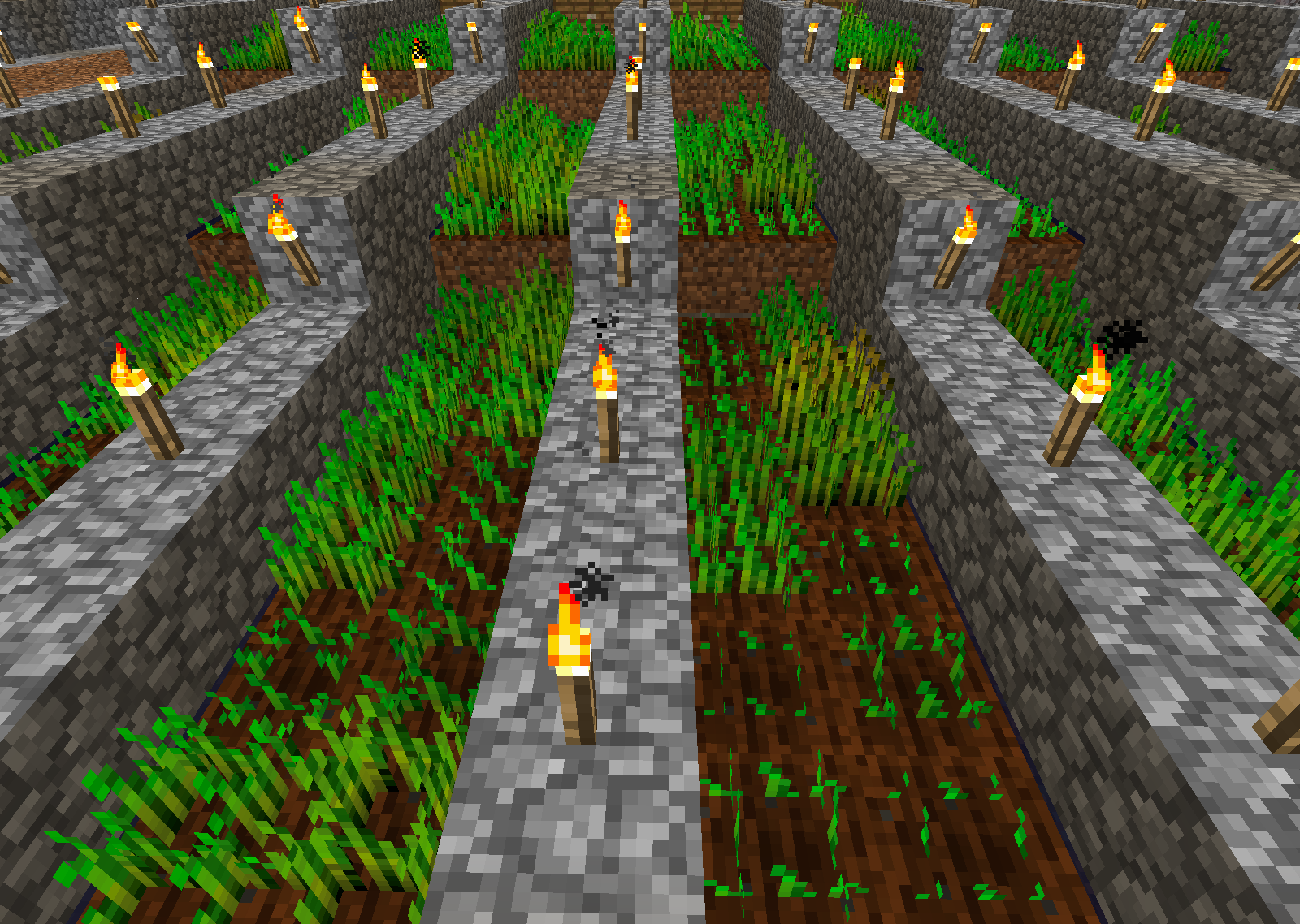 Wheat farm Stack of bread each day and more !