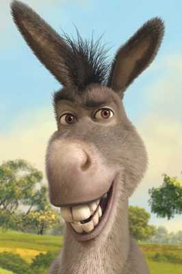 donkey.jpg