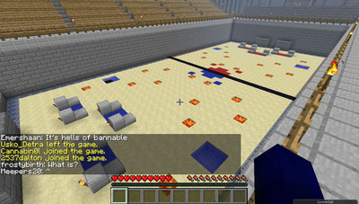 The playing field.