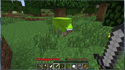 lime colored sheep.jpg