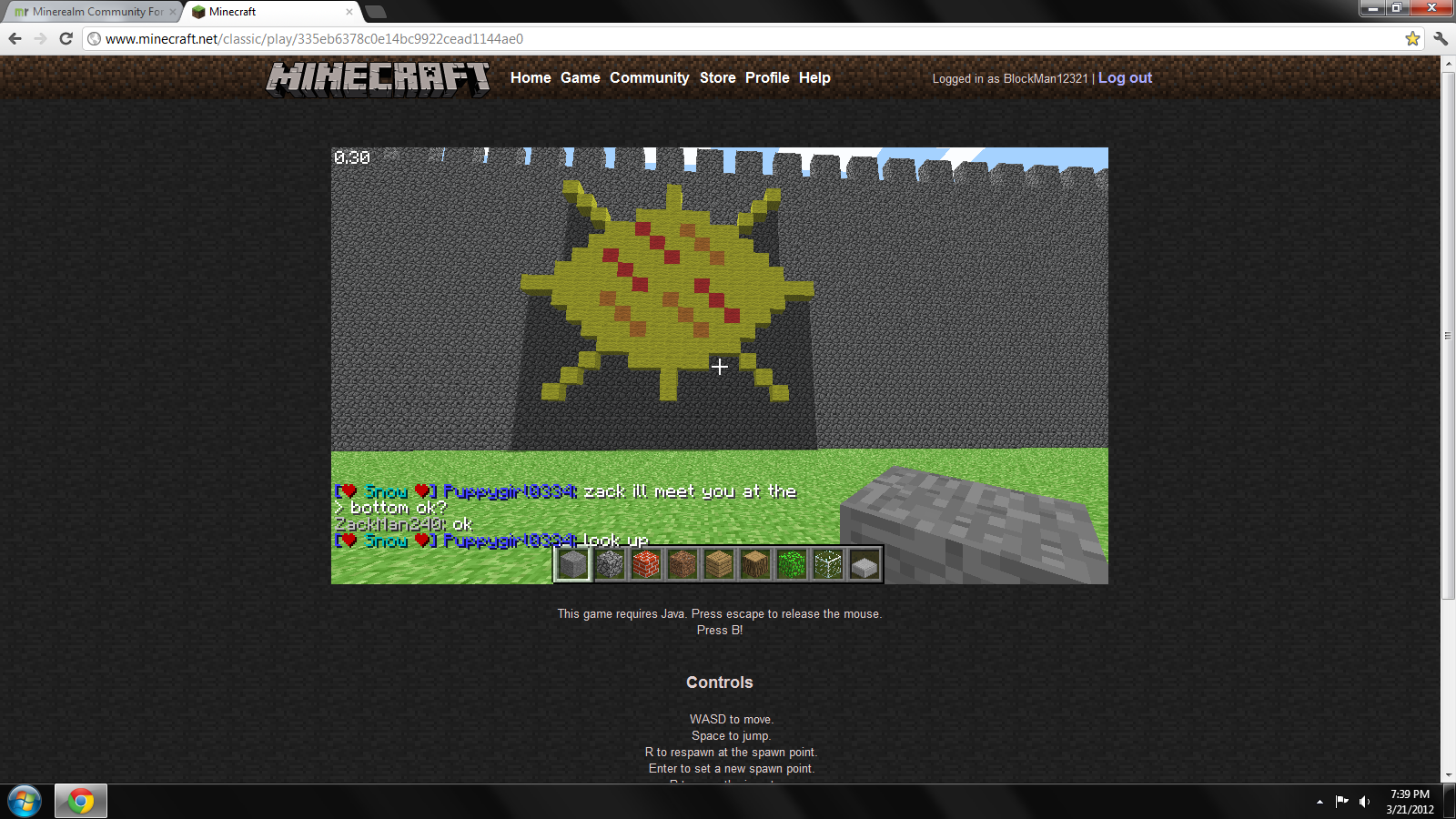 One of my first pixel arts.