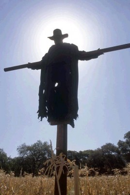 600full-jeepers-creepers-screenshot.jpg