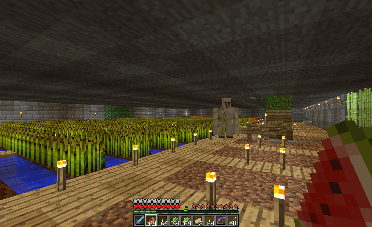 The wheat. Yes there are two Stone Golems protecting the farm.