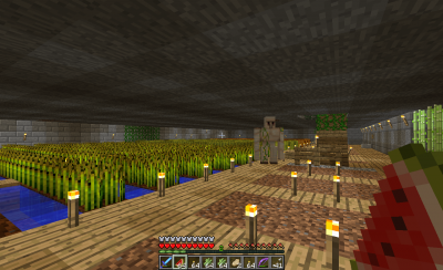 The wheat. Yes there are two Stone Golems protecting the farm.