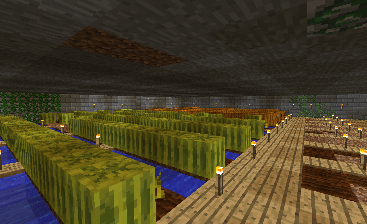 The Melons and Pumpkins