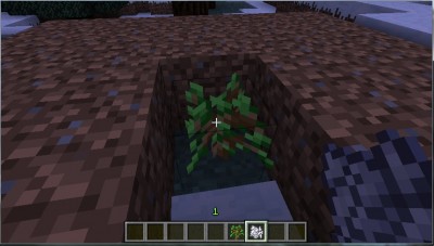 Seeing underground 2.jpg