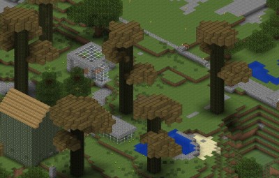 Leaves.JPG