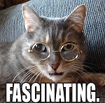 AEL!'s profile pic