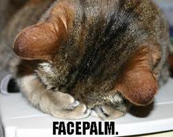 ... Even my cat can do it.