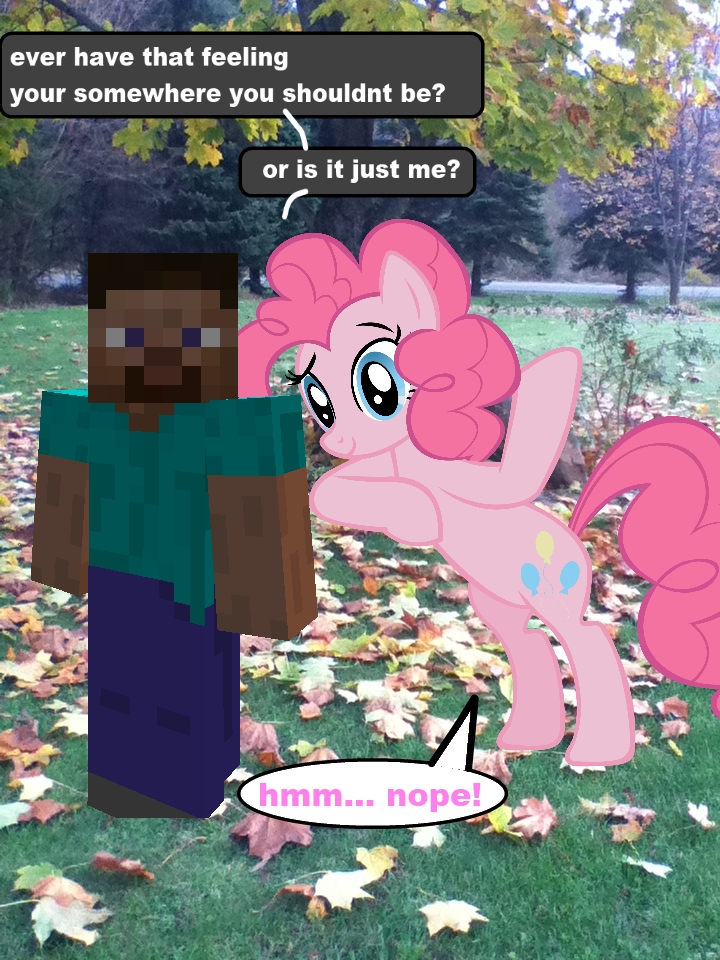 minecraft_and_mlp_fim__ever_have_that_feeling____by_supernatural90-d4frgml.jpg