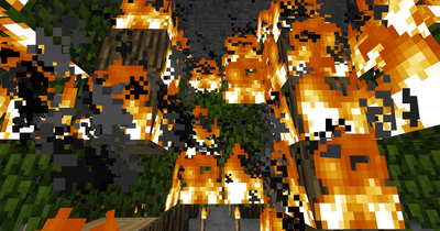 Their Tree farm.