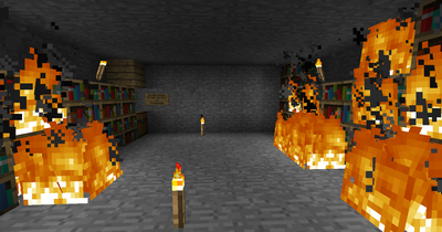 Their Library.