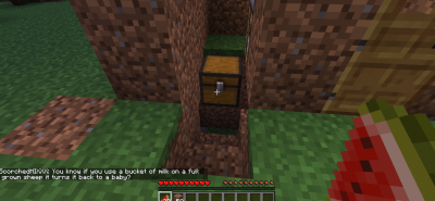 chest.png