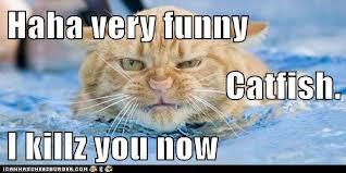 This is for you Izzie.