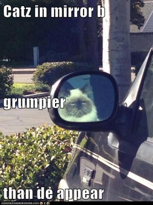lolcats ;)