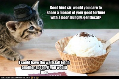 Gentlecat.jpg