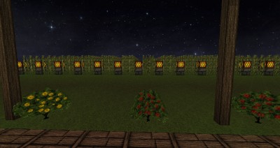 cane farm.jpg