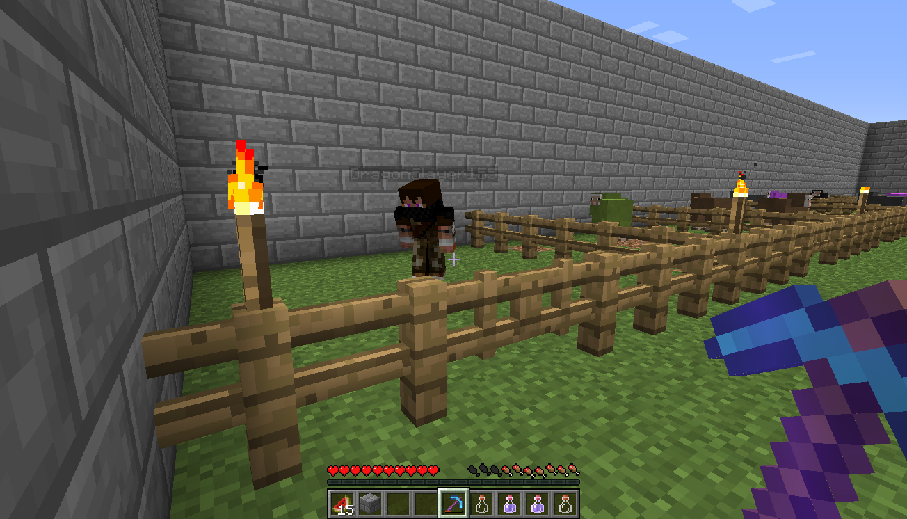 O.o where's my sheep!<br />Bad dragon!