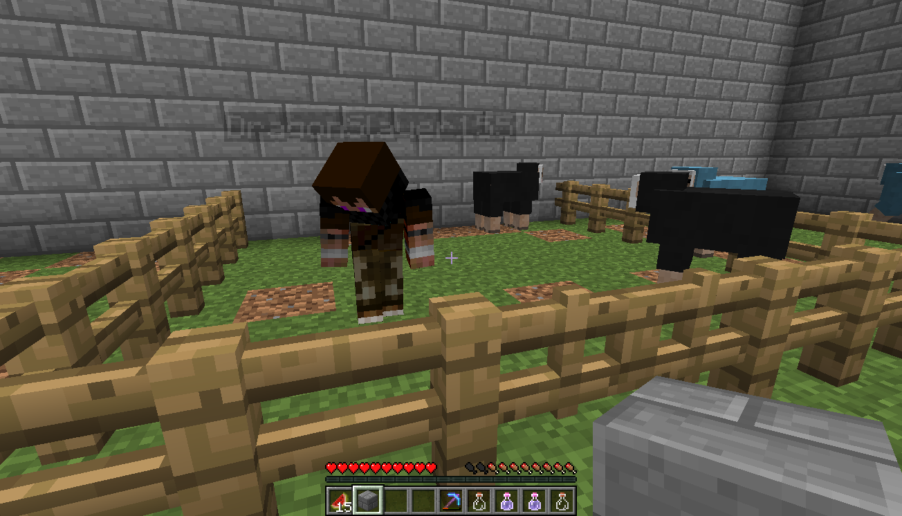 Sheep get new friend a Dragon ^^