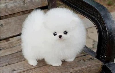 tumblr_mhamyi8del1rj9gaco1_500.jpg