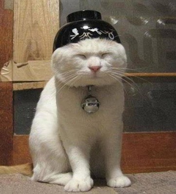 image.jpg