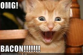 KITTEN+BACON=AWESOME.jpg