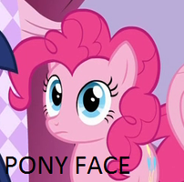Pony Face.png
