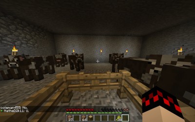 My cow pen, with the horrendous Quake Pro FOV.
