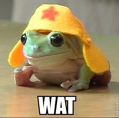 WAT-Frog.jpg
