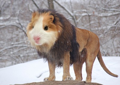 This is just AMAZING! :D