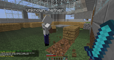 unknown_nether on his second block of wood planks.