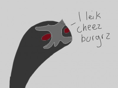 image.jpg