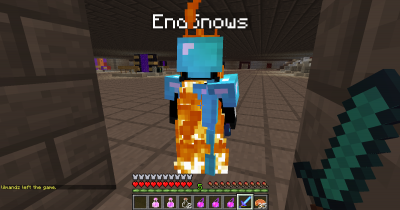 Second &quot;log&quot;, same again they attacked me with damage pots and hit me. - they were also invincible and i could not hit them at this time.