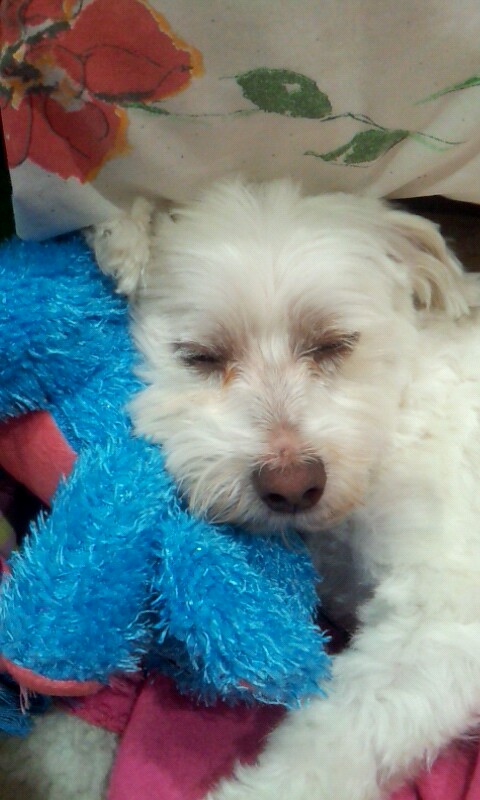 Looking like a kitty.