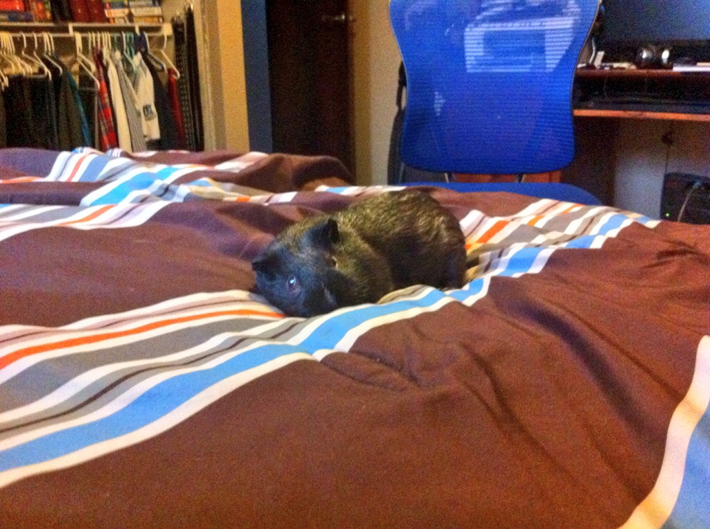 I have assasined all of you with his cuteness.