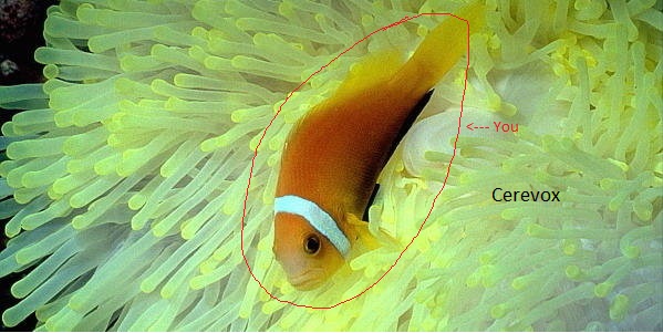 The Glorious Argument Style of Lightbulbs Unraveled.jpg