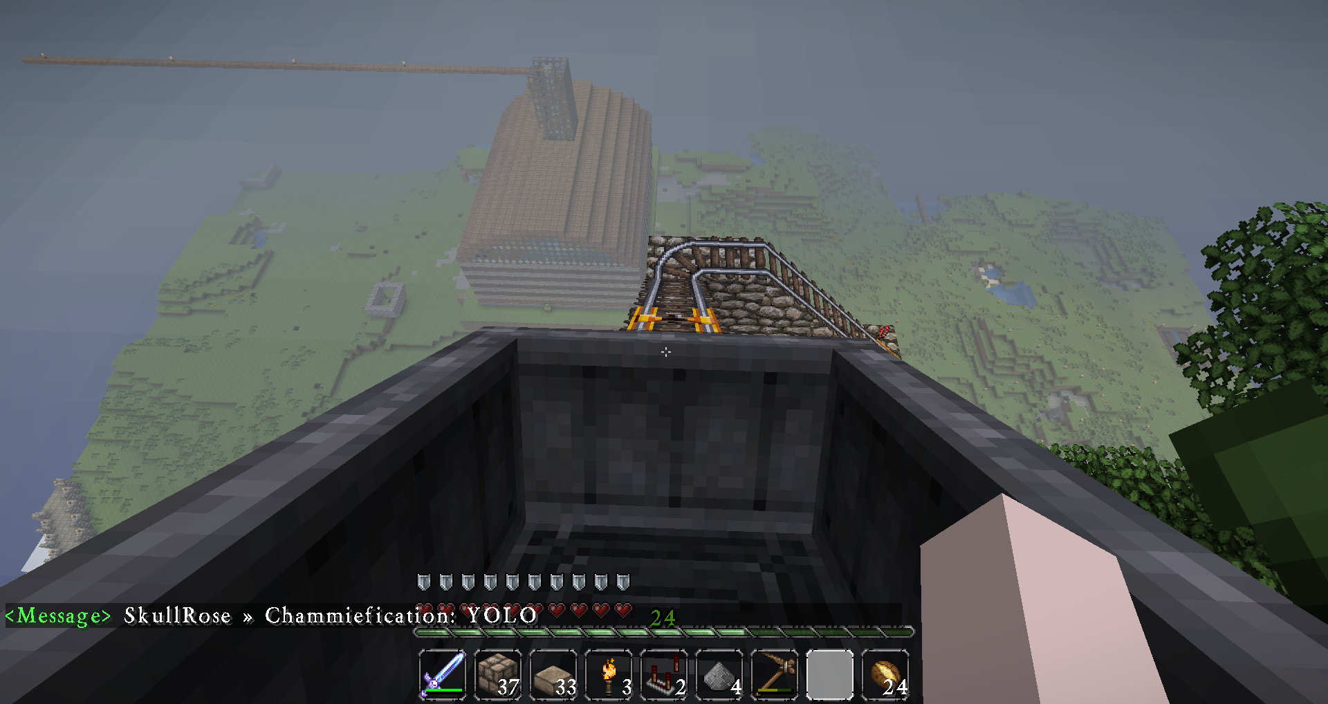 Really cool roller coaster I found with Chammie