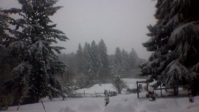 picture000.jpg