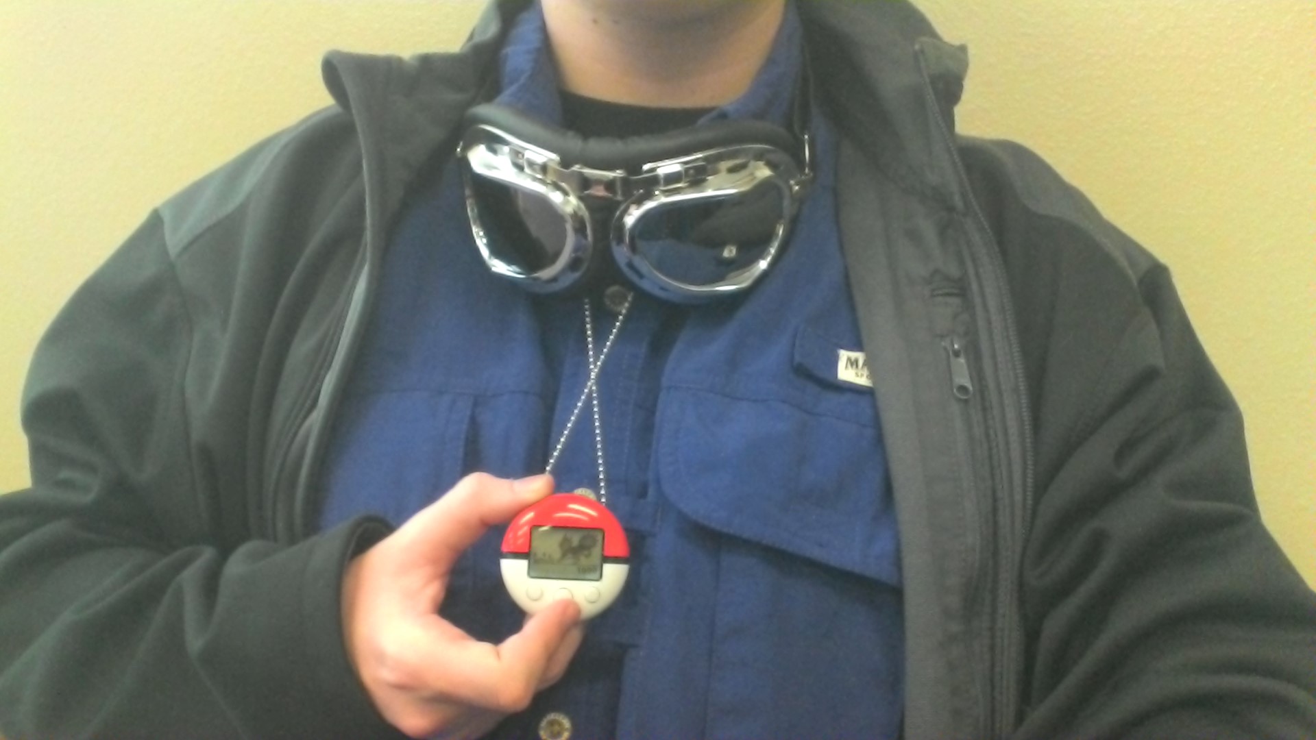 Zippy, the firstborn of my starter Typhlosion, Matches.