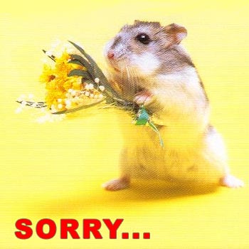 saying sorry.jpg