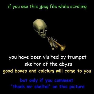 image.jpg