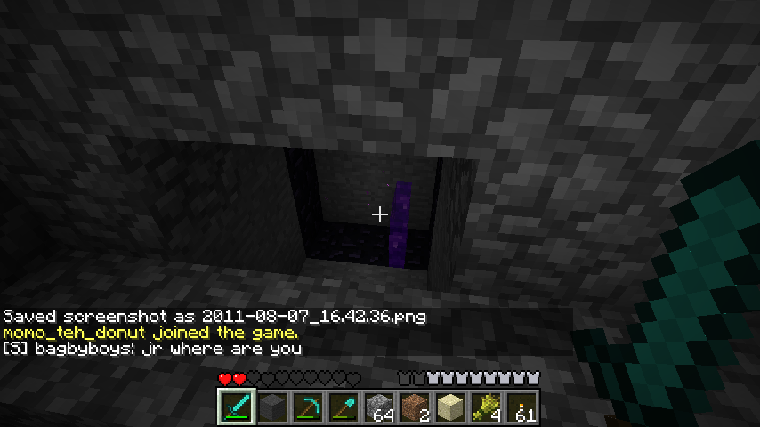 Door to the nether