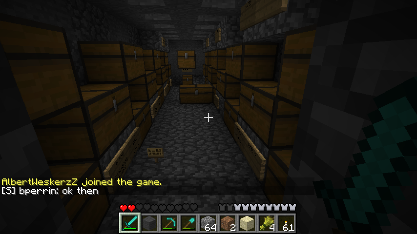 storage area glitched out