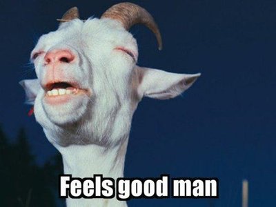 feelsgood.jpg
